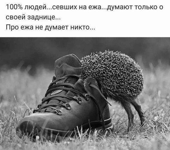 Сборник Боянов №2