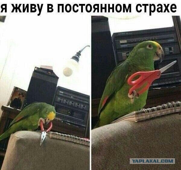 Африканцы разработали новый боевой дрон