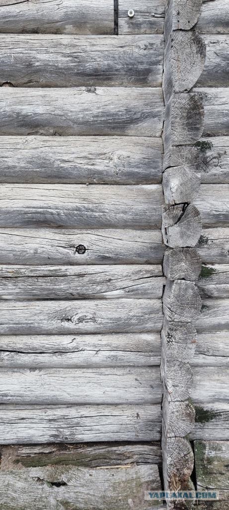 Моя мобильная фотография
