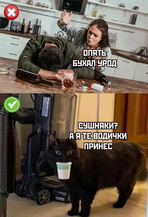 Алкопост  21.01.23
