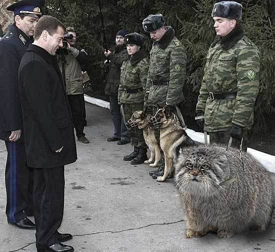 Иди на завод!