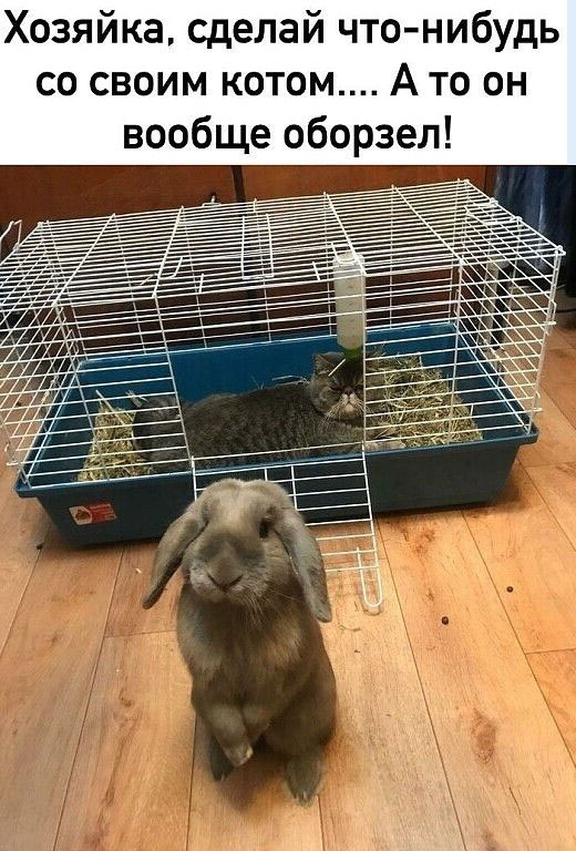 Так себе картинки 04.02.23
