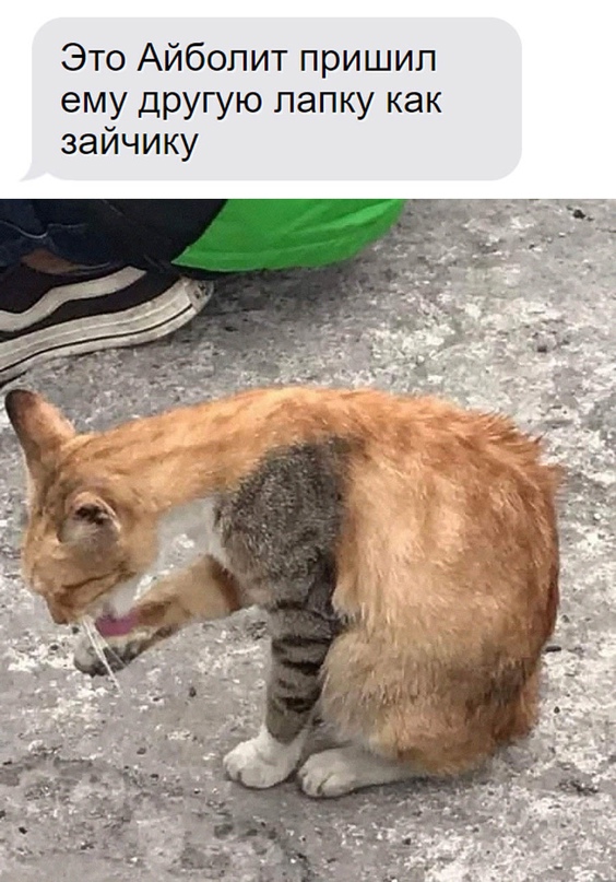 Картинки и мемы, всем хороших выходных