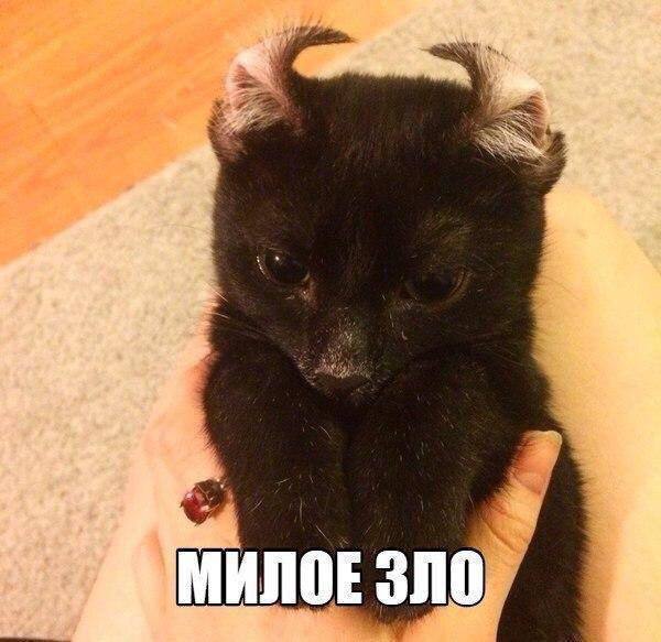 Немного картинок для настроения - 137