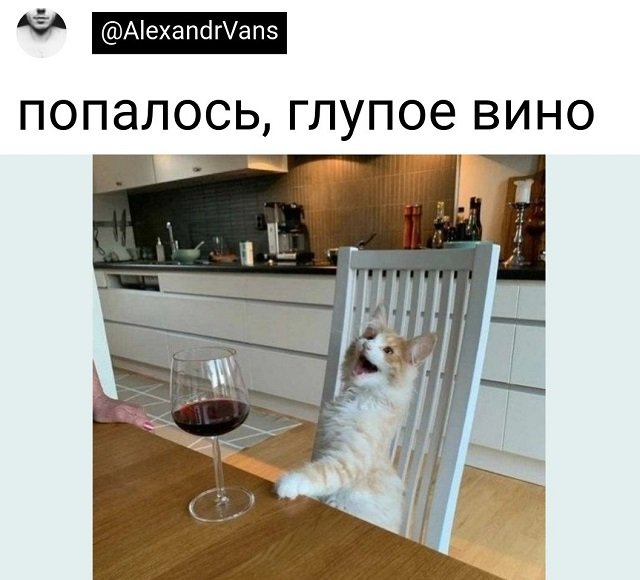 Немного картинок для настроения - 139