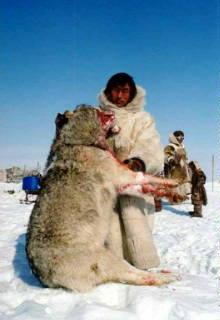 Ласка творит чудеса
