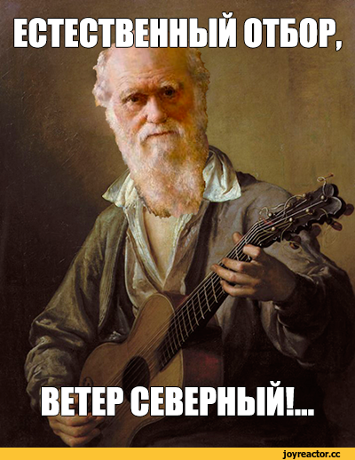 Накипело