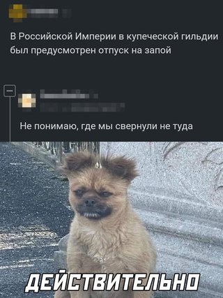 Картинки и мемы для настроения - 167