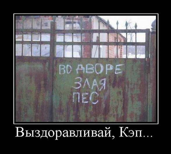 Так себе картинки 24.04.23