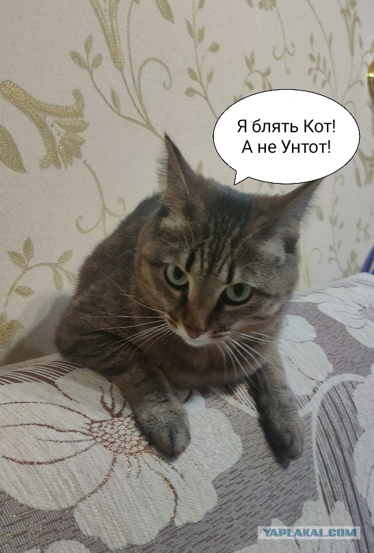 Вопрос к женщинам. Профессия мужа важна для жён? Или важнее его доходы?