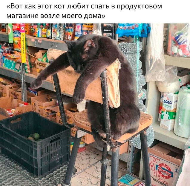 Так себе картинки 24.11.23