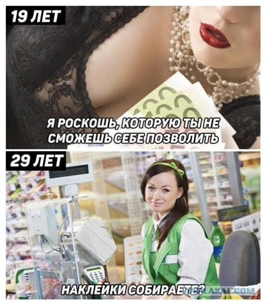 Папу ищут