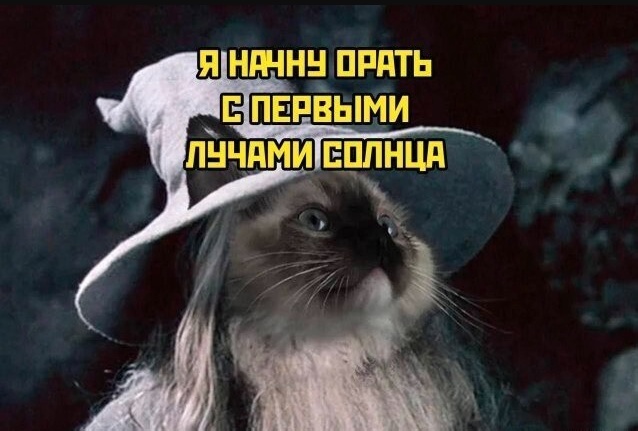 Так себе картинки 14.04.24