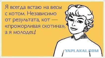 Картинки и буквы 24.06.2024