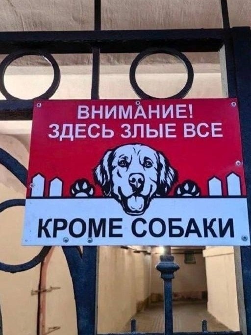 Новый сосед