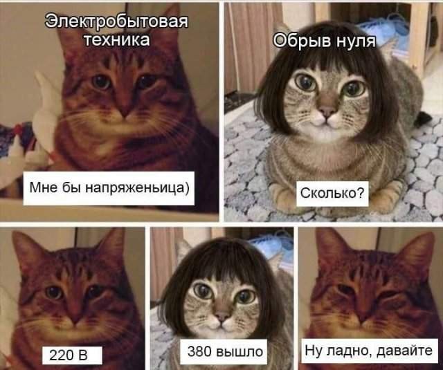 20 забавных  картинок