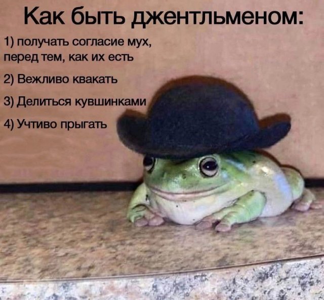Так себе картинки 26.08.24