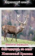 Развод с женой
