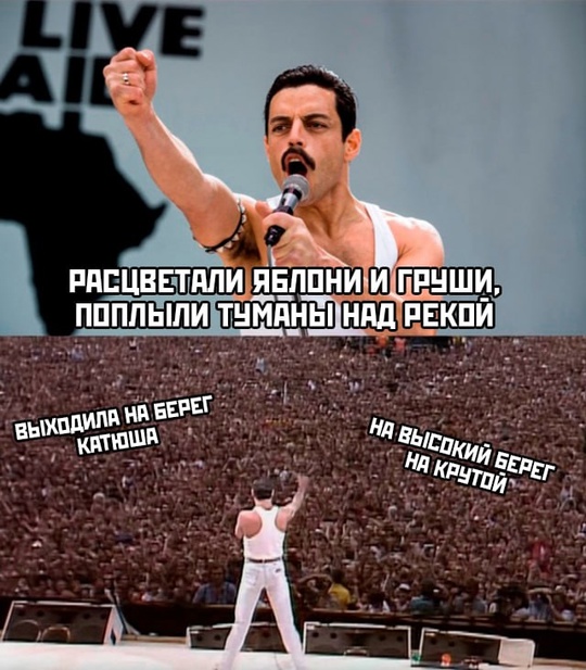 Весёлый полтишок 06.12.24
