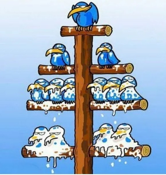 Одного фото псто