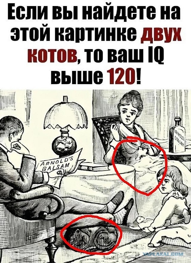 Так себе картинки 16.03.25