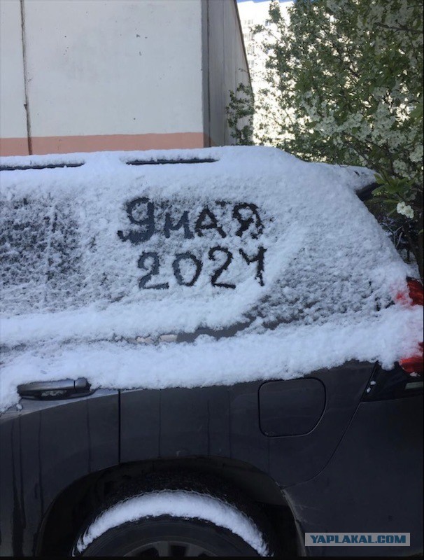 Молча наблюдаем за надвигающимся апокалипсисом