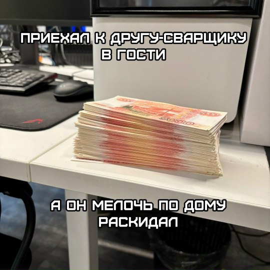 Весёлый полтишок 11.12.25