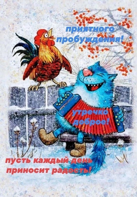 Прикольные и просто красивые картинки 06.01. 2026