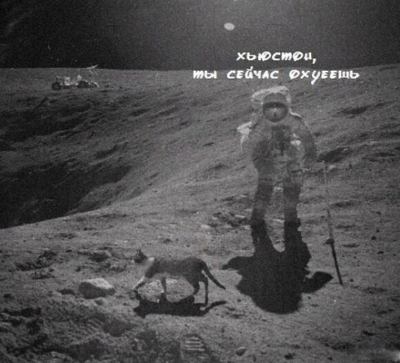Они сказали : "Не возвращайтесь"