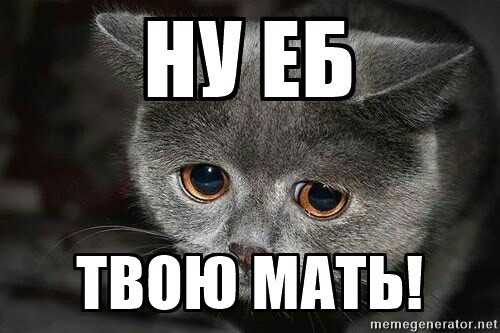 Ебическая ярость -  промежуточный финал