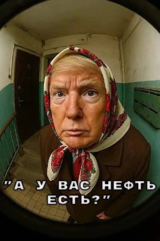 Ставки растут, рыжий опят блефует