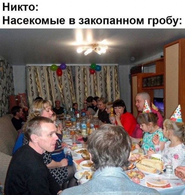Картинки новые и старые, баяны и аккордеоны