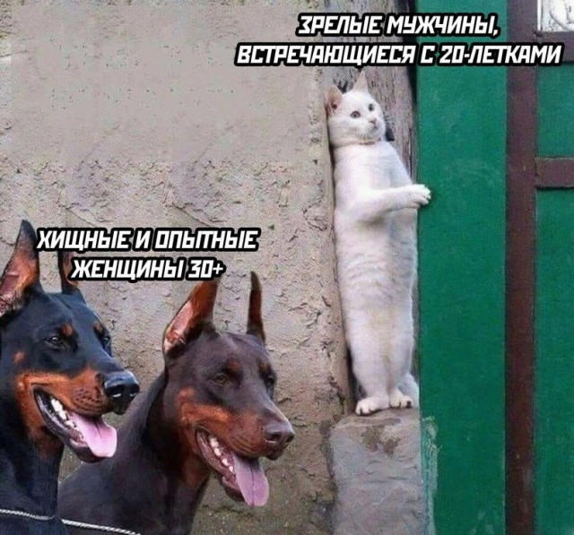 Веселые картинки в понедельник (13.07)