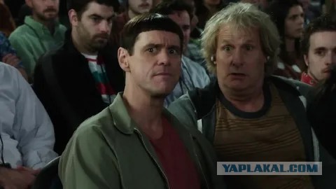 Шнобелевские премии вручили за "тараканье молоко" и "поцелуи"