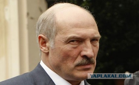 Рунет аплодирует Лукашенко