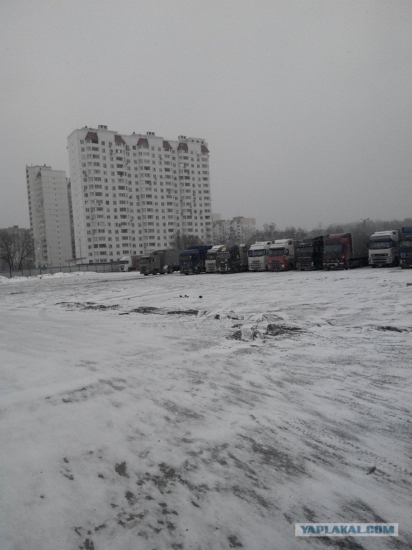 Озеленение Владивостока.