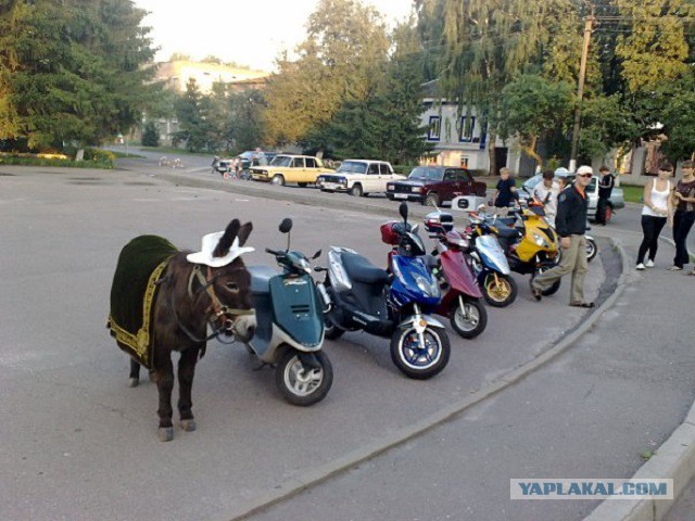 Фото с телефона