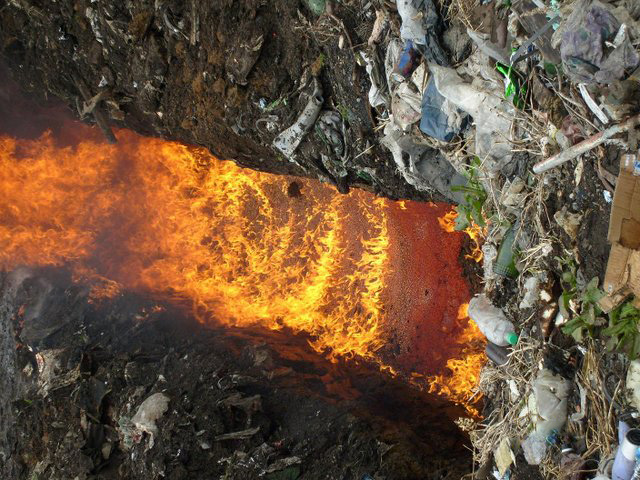 Как сгорает тонна красной икры