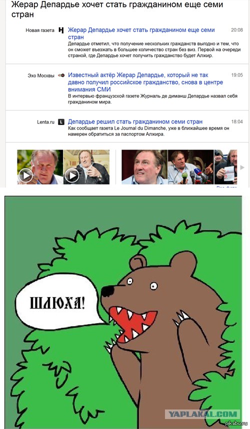 Медведи почти на все случаи жизни