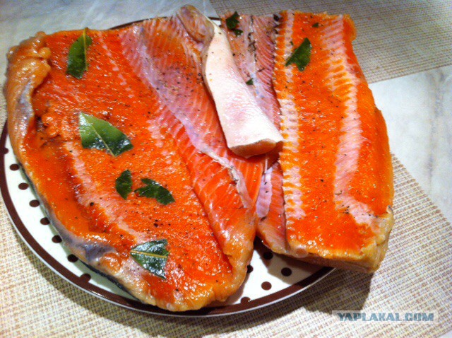 Кета под маринадом