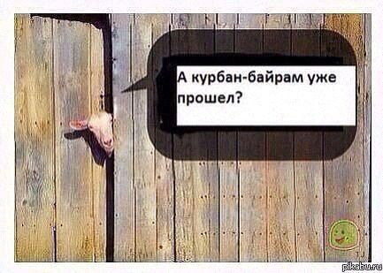 А вот и новые картинки!