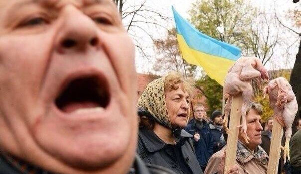 Весёлые картинки
