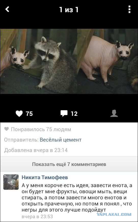 комментарии из соц сетей.