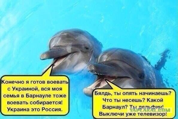 Веселости попавшиеся на глаза сегодня