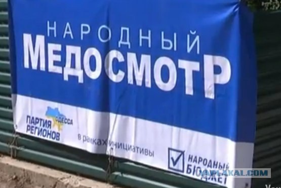 Предвыборный юмор по-украински (коте одобряет)