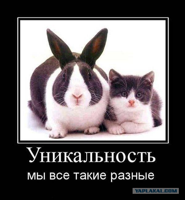 Весёлости