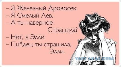 Элли, Страшила и Тотошка