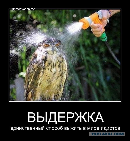 Невозмутимость 80-го уровня