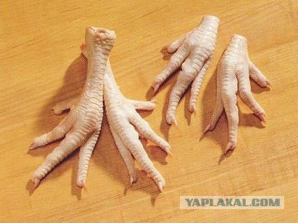 Еще одна разница между М и Ж