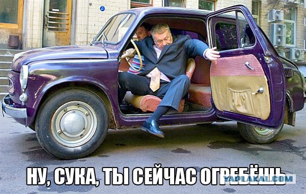 Жириновский оскорбил Роднину